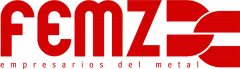 FEMZ